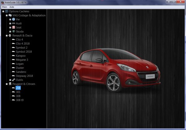Autoguide 3.0.1 ( options cachées 3.0.1 )VAG ( vw audi seat skoda), et Renault Dacia et PSA - Image 3