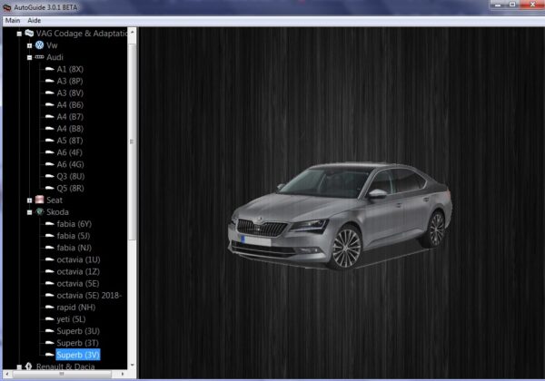 Autoguide 3.0.1 ( options cachées 3.0.1 )VAG ( vw audi seat skoda), et Renault Dacia et PSA - Image 2